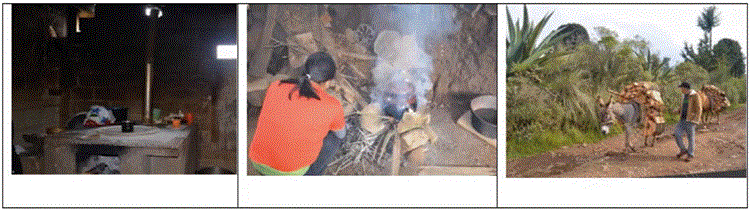 2594-0198-rvcs-16-119-gf2.gif